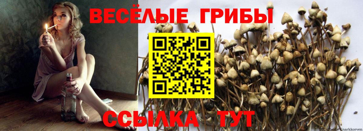Галлюциногенные грибы мухоморы Глазов